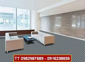 Thảm trải sàn phòng khách TT016